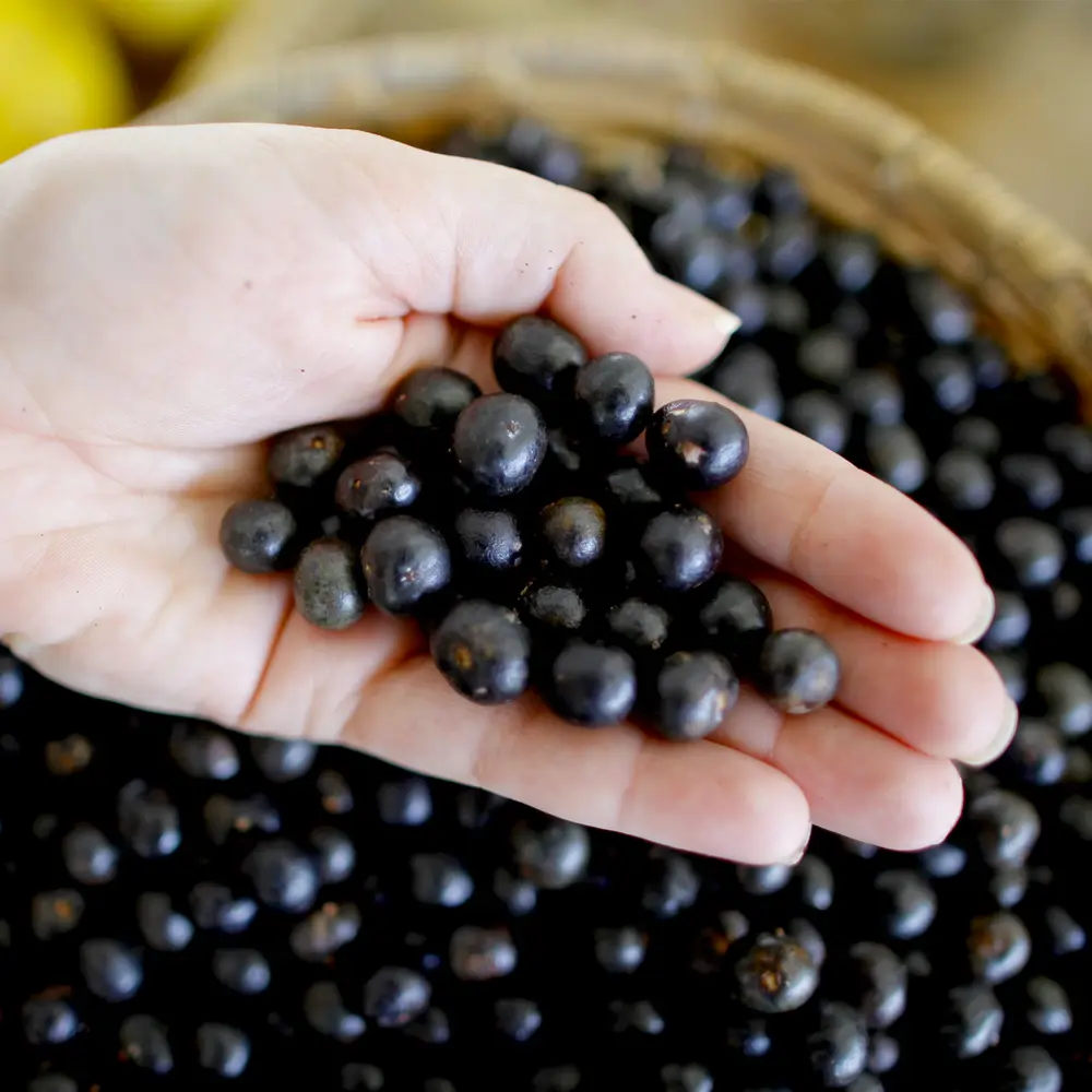 Mão de pele clara segurando algumas unidades de açaí e mais frutas ao fundo