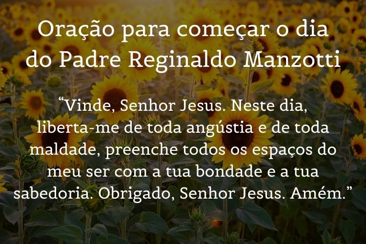 foto de campos de girassol com oração para começar o dia