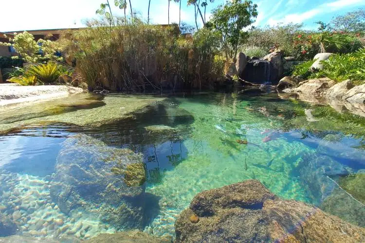 Enorme piscina biológica com água cristalina, plantas e pedras. 