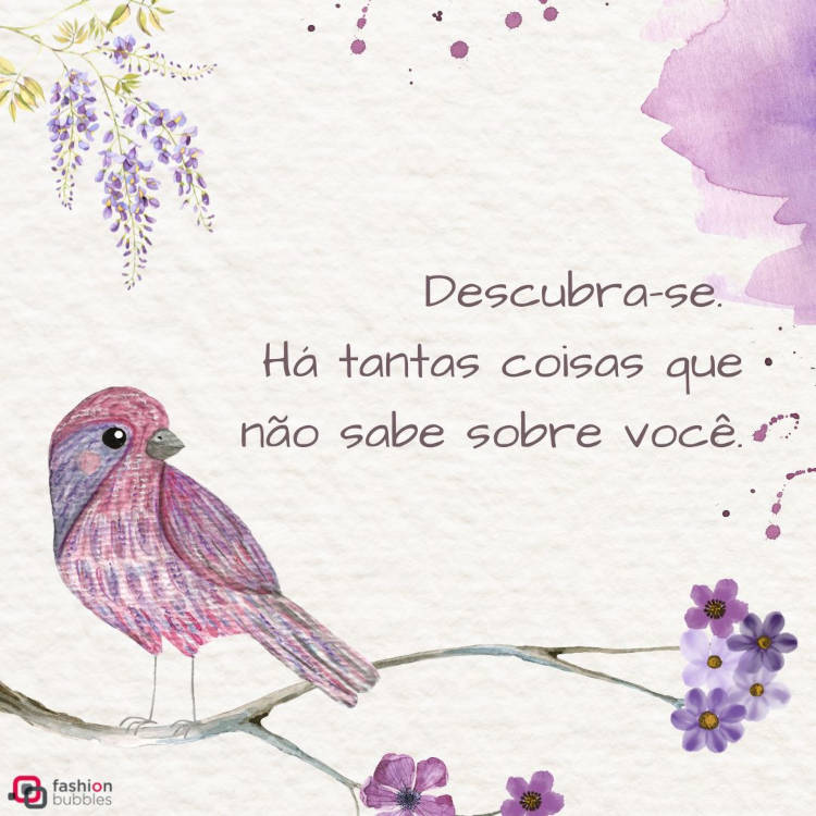 Frases sobre você