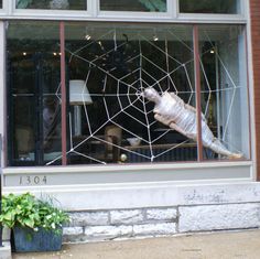 vitrines de halloween1 (29)