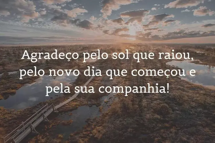 Foto de lago com plantas e frase: Agradeço pelo sol que raiou, pelo novo dia que começou e pela sua companhia!