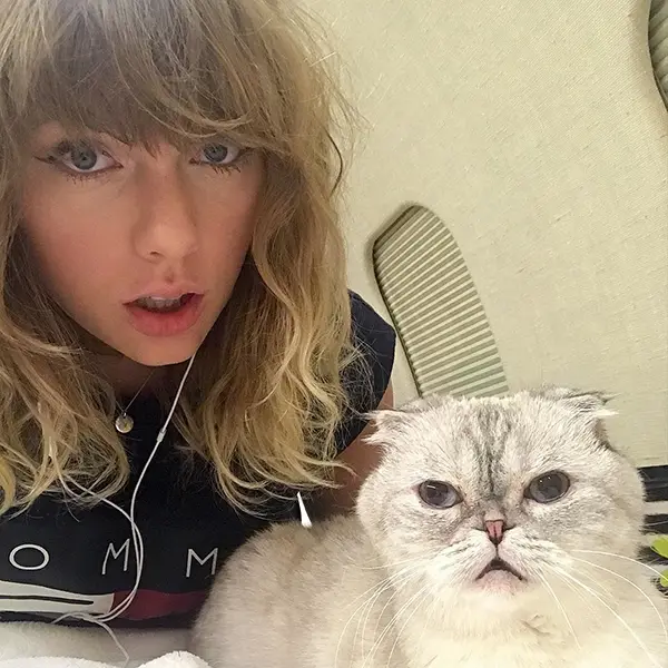 Taylor Swift em selfie com gato branco 