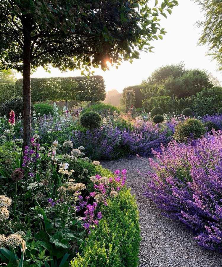 Caminho de pedras com flores de lavanda e rosas ao redor