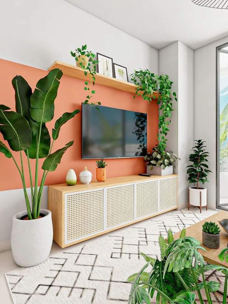 Sala de estar com móvel da TV em madeira, diversas plantas, mesa de centro em madeira, tapete bege e meia parede pintada de laranja, ideia de decoração barata