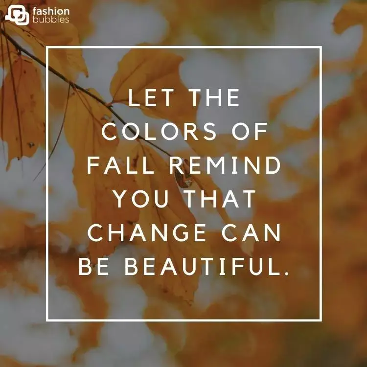 Card com fundo desfocado de folhas laranjas, contorno de quadrado branco escrito "Let the colors of fall remind you that change can be beautiful."
