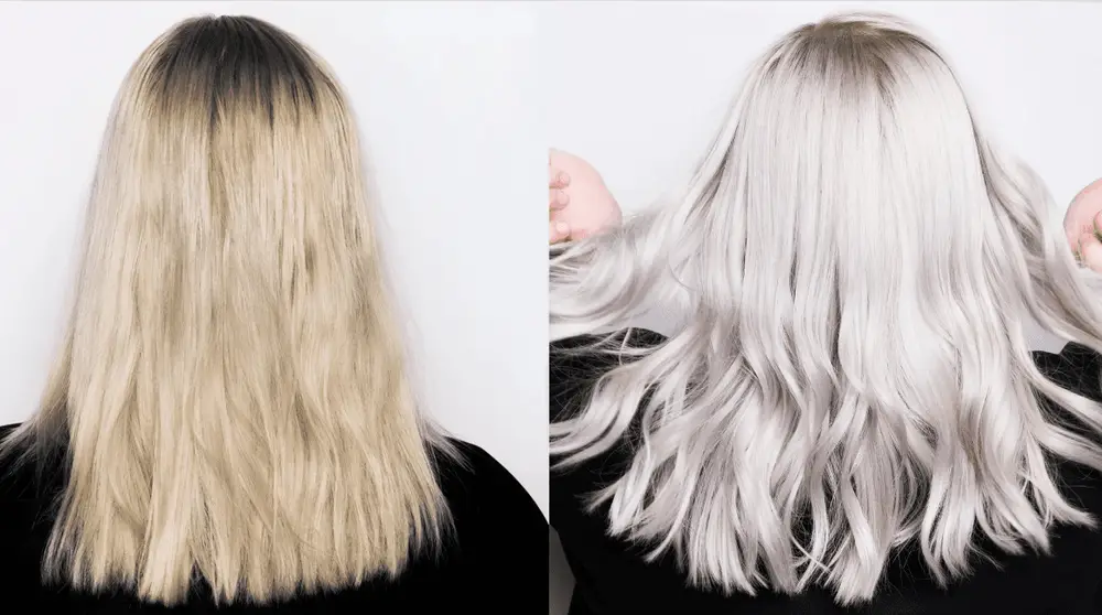 shampoo tonalizante