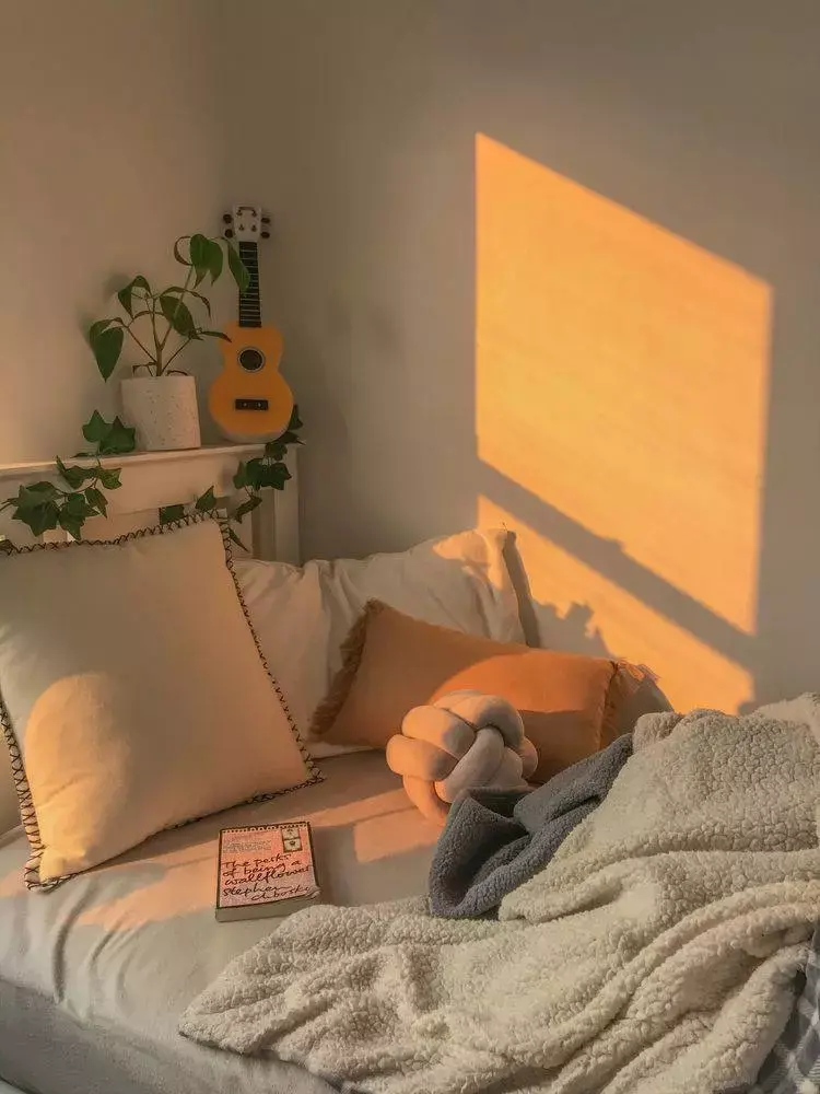 Fotografias de inverno, golden hour