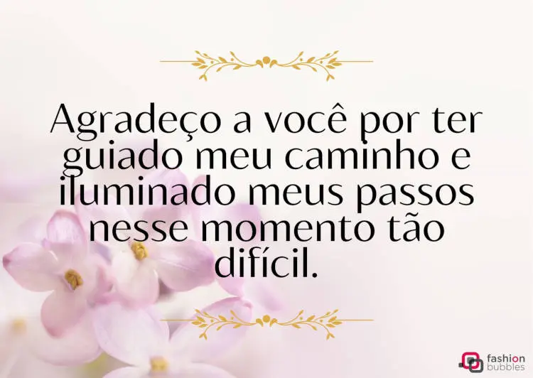 11. Agradeço a você por ter guiado meu caminho e iluminado meus passos nesse momento tão difícil. Cartão virtual de fundo claro com foto de flor e frase " Agradeço a você por ter guiado meu caminho e iluminado meus passos nesse momento tão difícil."