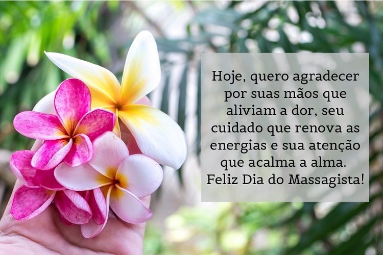 frases para dia do massagista