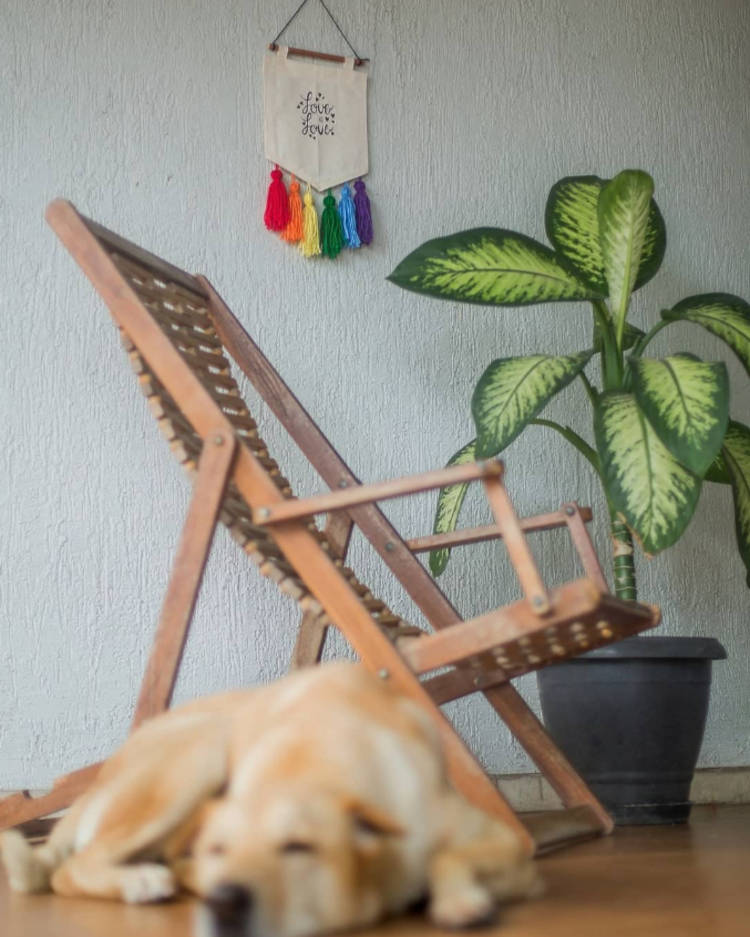 Foto de espaço com parede bege, cadeira de madeira, vaso de planta e flâmula bege escrito "love is love" e detalhes nas cores da bandeira LGBT