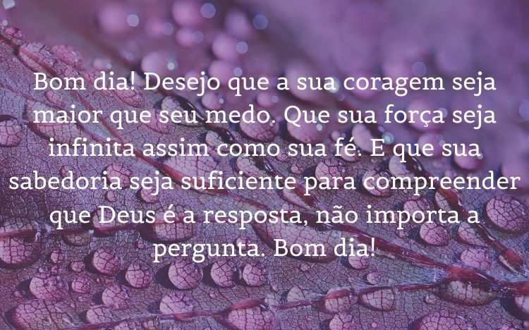 Foto de folha roxa molhada e frase: Bom dia! Desejo que a sua coragem seja maior que seu medo. Que sua força seja infinita assim como sua fé. E que sua sabedoria seja suficiente para compreender que Deus é a resposta, não importa a pergunta. Bom dia!
