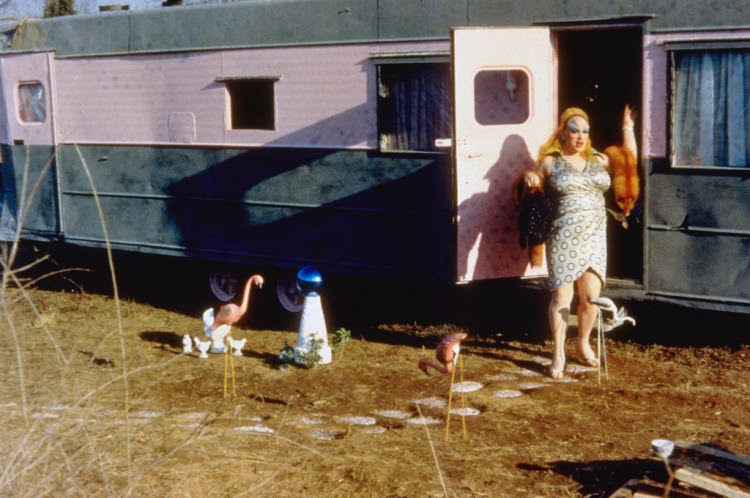 ícones LGBTQ+ anos 70