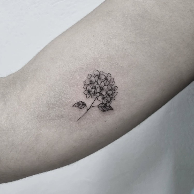 Tatuagem pequena no braço de hortênsia sombreada 