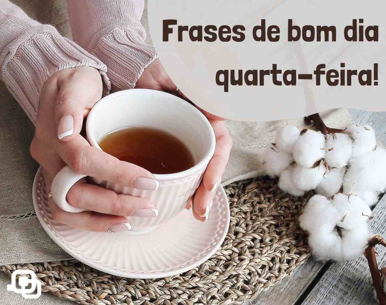Frases de bom dia quarta-feira