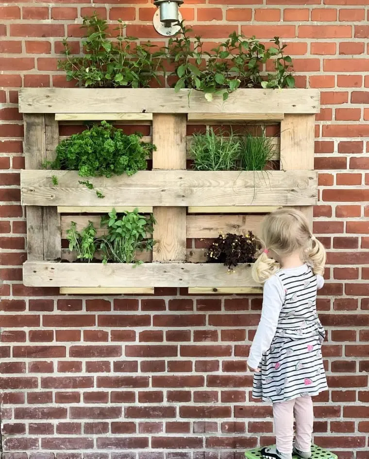 Horta vertical de pallet