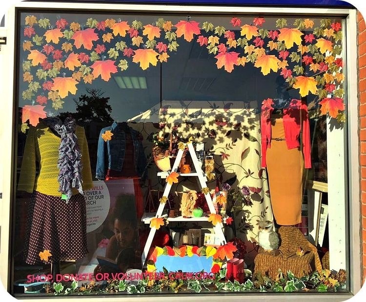 Vitrines com as cores do outono