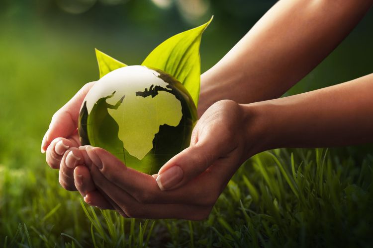 Mãos humanas seguram um pequeno globo verde com o formato da Terra, cercado por folhas, simbolizando cuidado com o meio ambiente. A grama ao fundo remete à natureza, destacando proteção ambiental e sustentabilidade para o Dia do Meio Ambiente.