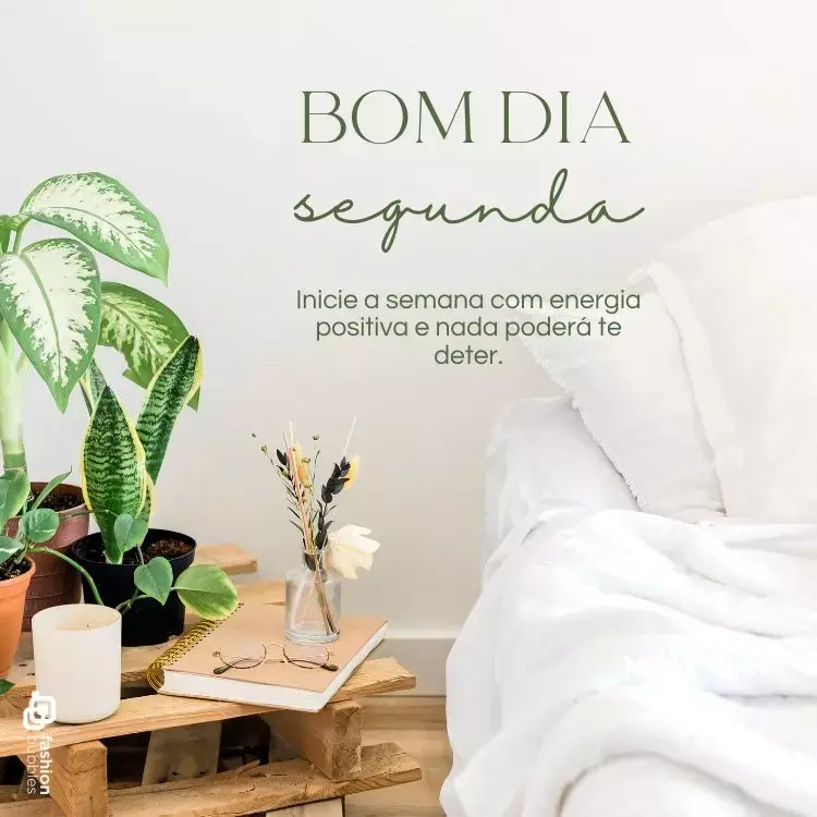 Frase de bom dia segunda escrita em foto de quarto aconchegante com plantas em mesinha de madeira