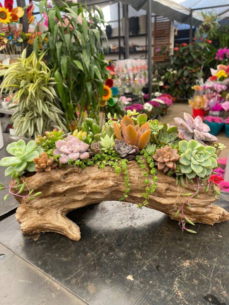 Cachepô da EArt Decor que imita tronco com suculentas