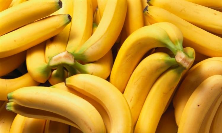 Cachos de banana. 
