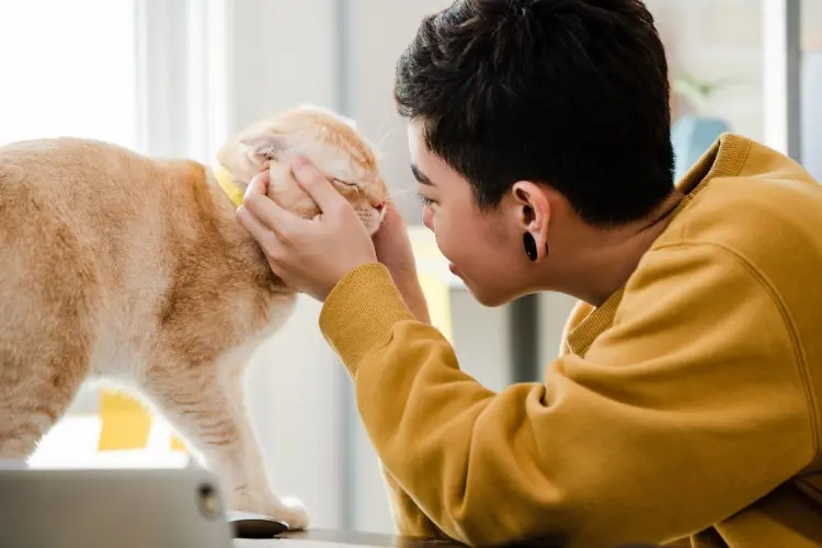 Mulher de pele clara usando moletom mostarda e fazendo carinho em gato bege 