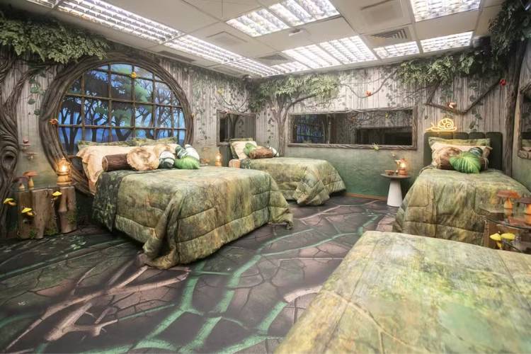 Quarto dos gnomos do  BBB, com tema de gnomos e floresta, decoração com árvores, plantas, raízes e troncos. 