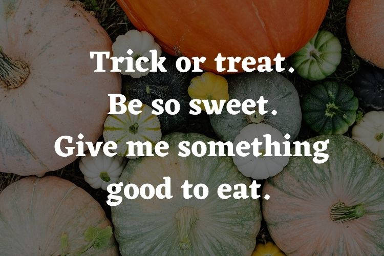 Foto de diferentes abóboras e frase "Trick or treat. Be so sweet. Give me something good to eat. "