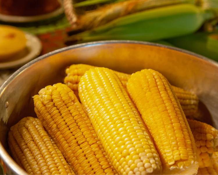 Milho verde cozido na panela - receitas de festa junina