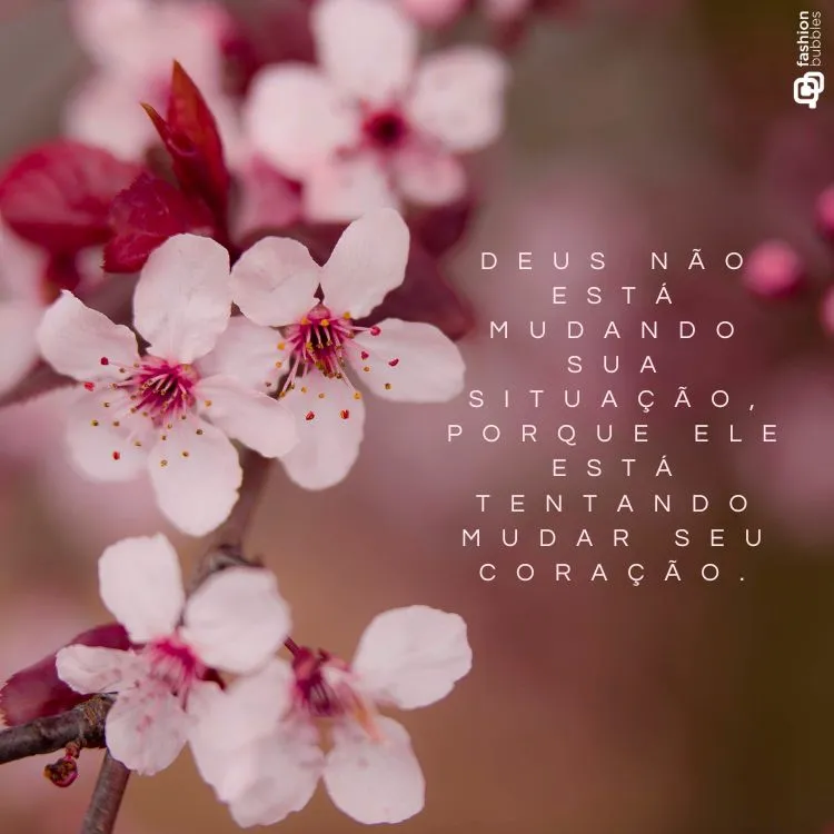  Close-up de delicadas flores de cerejeira rosa e brancas, com um fundo desfocado que realça a beleza das pétalas. A imagem transmite serenidade e leveza, acompanhada de uma frase inspiradora sobre mudança interior.