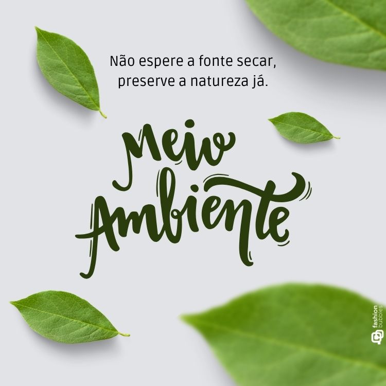 Fundo cinza claro com folhas verdes espalhadas, simbolizando a natureza. Texto em destaque: "Não espere a fonte secar, preserve a natureza já." Embaixo, "Meio Ambiente" aparece em tipografia artística verde, enfatizando a importância da conscientização ambiental e preservação.