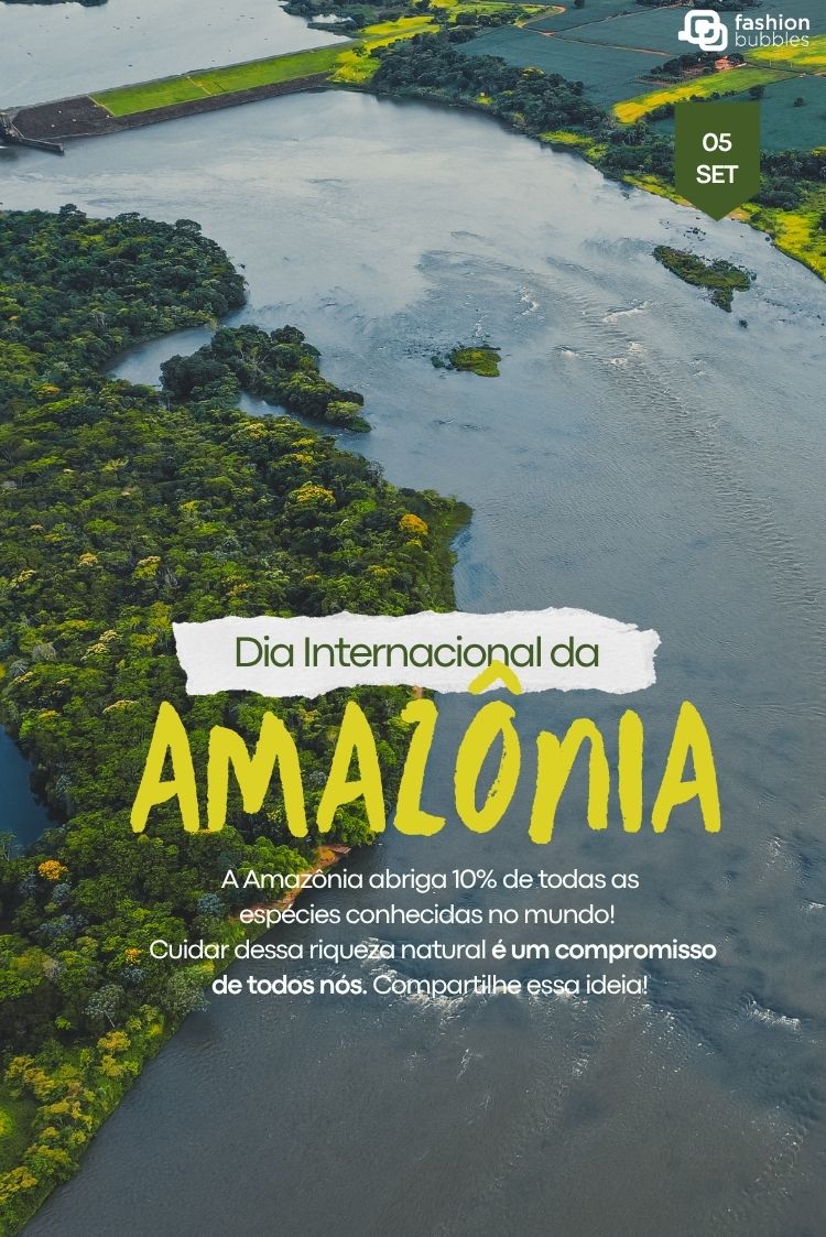 Uma vista aérea exuberante da floresta amazônica densa e um rio sinuoso. No centro, texto destaca "Dia Internacional da Amazônia" e a importância de cuidar de sua biodiversidade, que abriga 10% das espécies conhecidas do mundo.