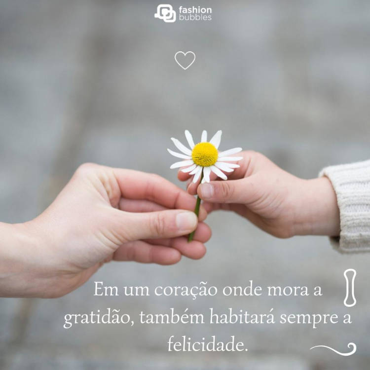 Em um coração onde mora a gratidão, também habitará sempre a felicidade. Foto de duas pessoas de pele clara segurando margarida e frase "Em um coração onde mora a gratidão, também habitará sempre a felicidade."
