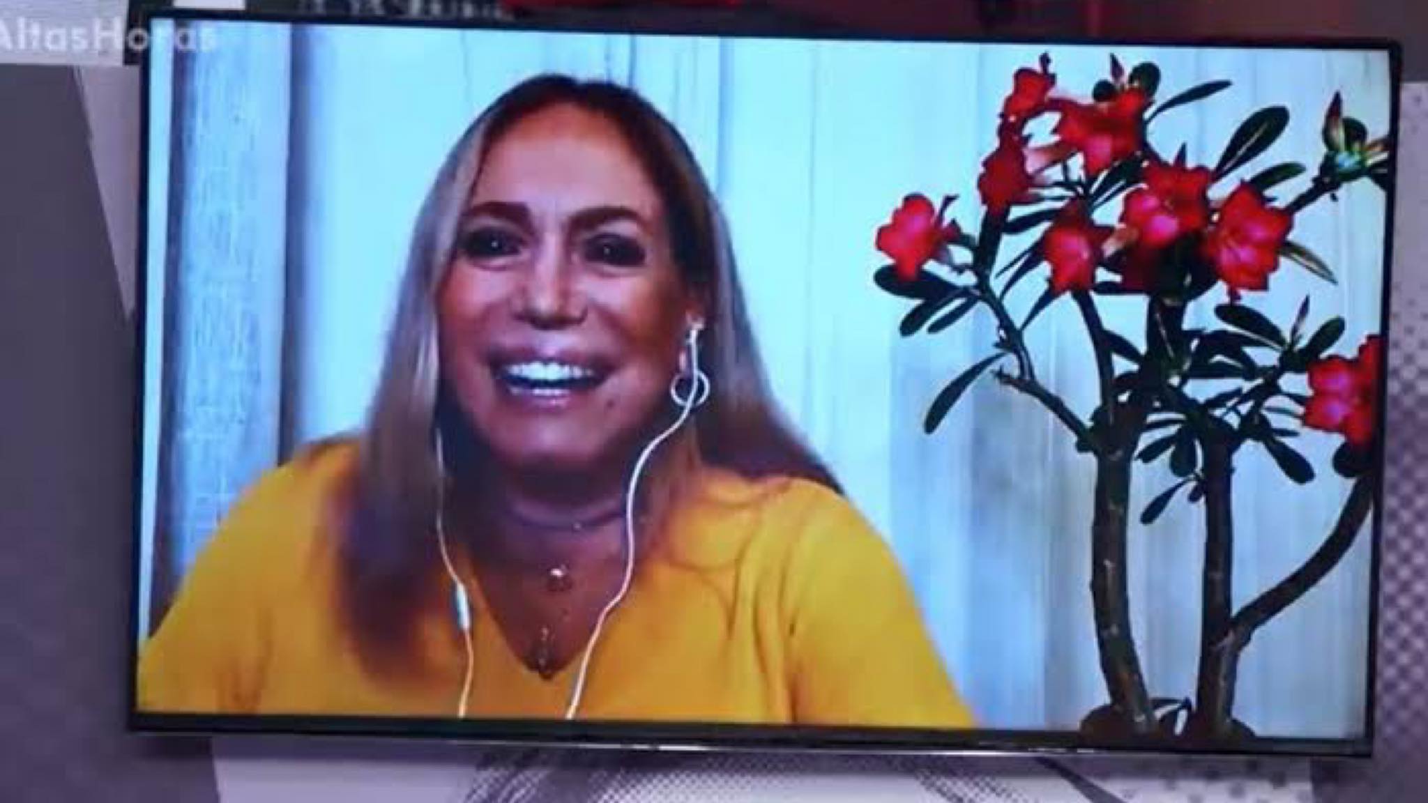 Susana Vieira, trabalho, amores, câncer