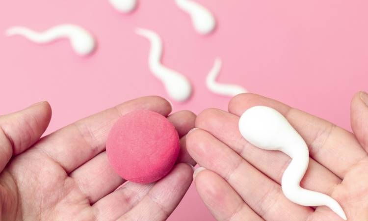 Óvulo e espermatozoide na fertilização in vitro e congelamento de óvulos. 