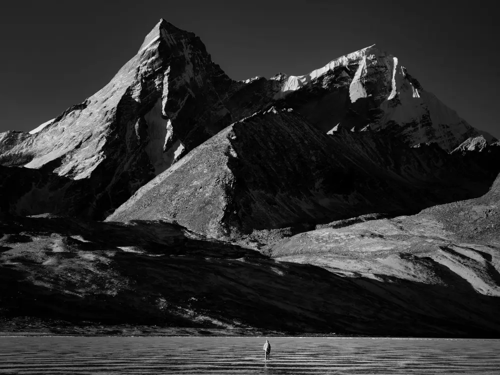 foto vencedora do Mobile Photography Awards