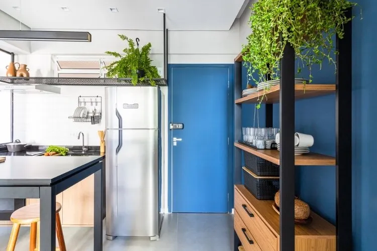Foto de cozinha de kitnet de 33 m² decorada com plantas e em tons de azul