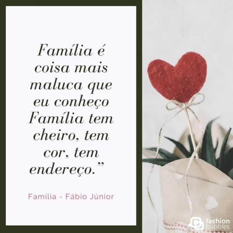 Música do Fábio Júnior: Família. Sobre imagem de buquê com coração de feltro Família. música do Fábio Júnior