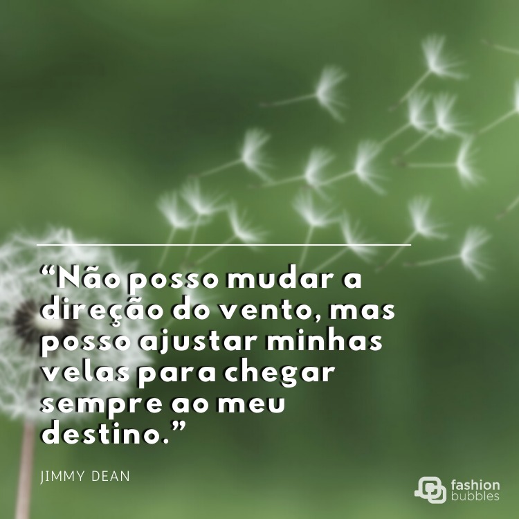 Frase de motivação com fundo de um dente de leão se desfazendo com o vento