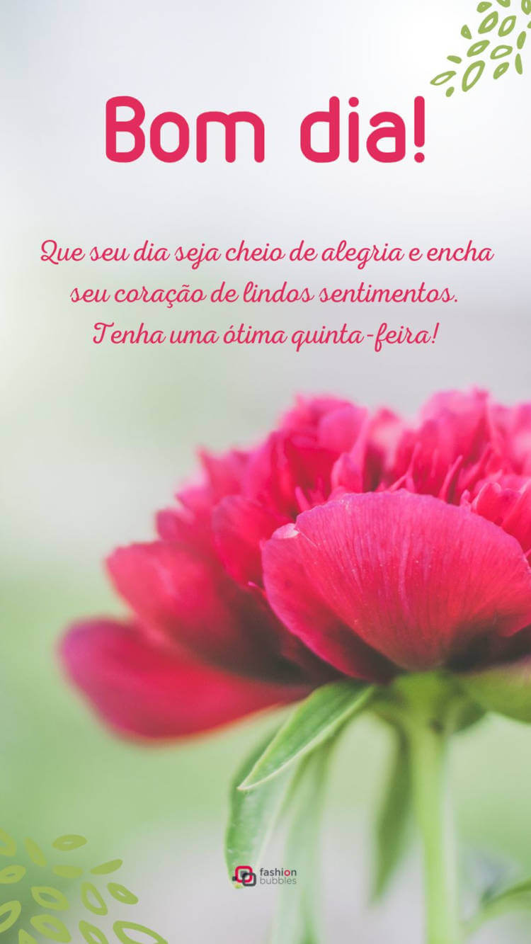 Cartão virtual com foto de flor rosa e frase "Que seu dia seja cheio de alegria e encha seu coração de lindos sentimentos. Tenha uma ótima quinta-feira!"