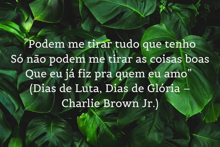 trecho de música do Charlie Brown Jr. sobre reflexão