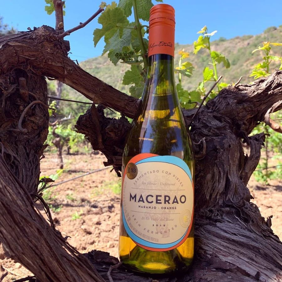 garrafa de vinho laranja Macerao apoiada em galho de árvore