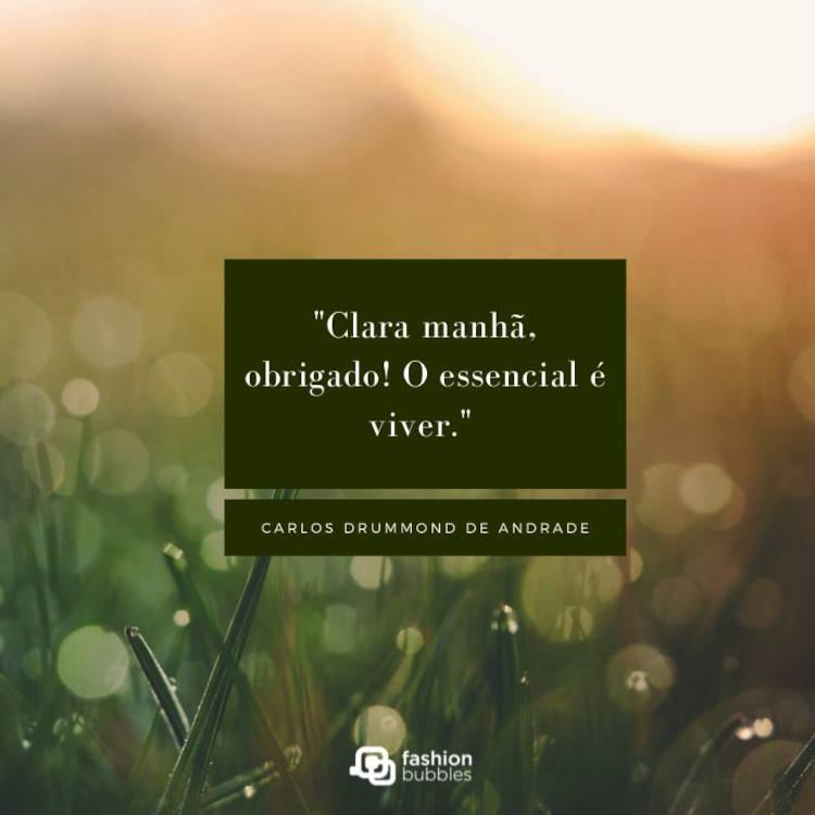 55) "Clara manhã, obrigado! O essencial é viver." (Carlos Drummond de Andrade) Foto borrada de jardim com retângulo verde escuro e frase ""Clara manhã, obrigado! O essencial é viver." (Carlos Drummond de Andrade)"