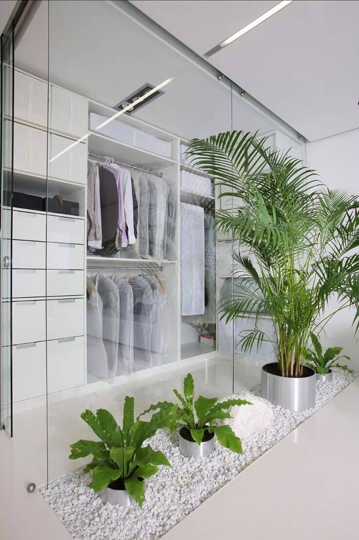Closet masculino com pequena faixa de jardim de inverno, com vasos prateados e pedras brancas