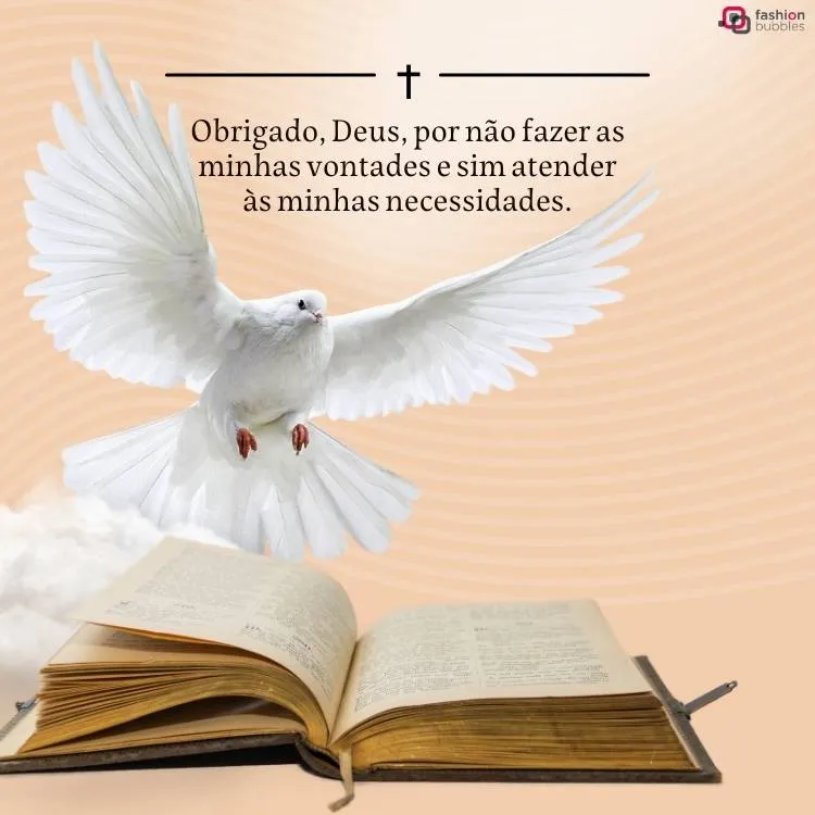 Imagem de uma pomba branca representando o Espírito Santo próxima a uma bíblia aberta. Acima, há a frase "Obrigado, Deus, por não fazer as minhas vontades e sim atender às minhas necessidades.". 