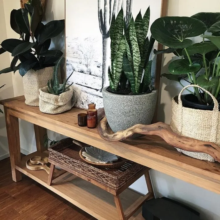 um aparador de madeira com vasos de planta na decoração