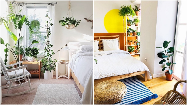 duas fotos com plantas próximas das janelas dos quartos