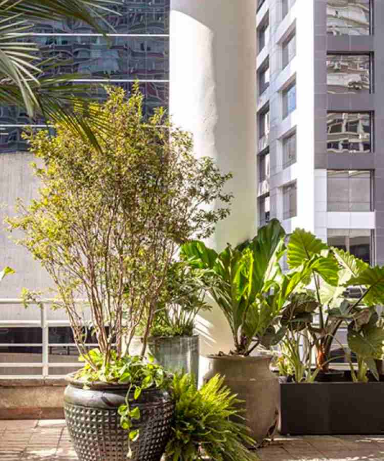 plantas nativas no Paisagismo de Catê Poli e João Jadão no CASACOR 2023