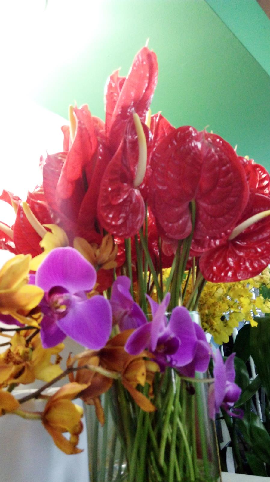 20160519_110517 (Copy)