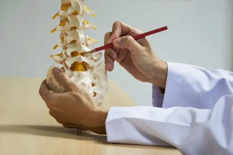 mãos de médico apontando com um lápis local em um modelo onde a lombar está inflamada